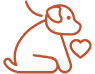 Dog on a leash