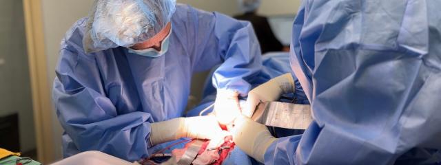 Surgical Oncology