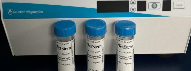 Regenerative Medicine & Stem Cell Therapy